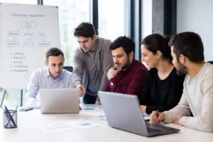 Technology assessment done by software consultants